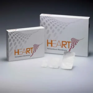 Heart Membrana Pericardio