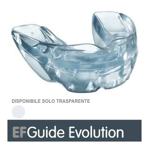 EF GUIDE EVOLUTION 2